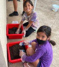 Students planting seeds
