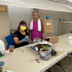 Participants pose with transplanted seedlings