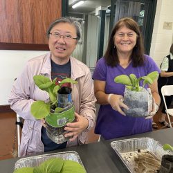 Bok Choy 4/25/25 from 96744