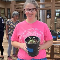 Tomato seedlings grown from Enrichment Kit