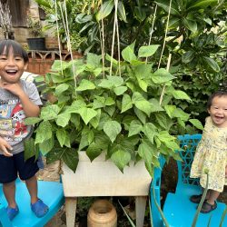 Siblings posing with green bean plants grown from seeds.