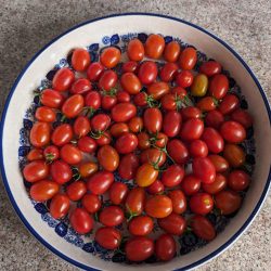 Harvested tomatoes